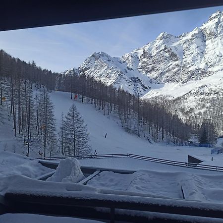 Orange Fox Cervinia Apartment Vda Vacanze In Vetta Cir 0185 ブレウイル・チェルヴィナイア エクステリア 写真